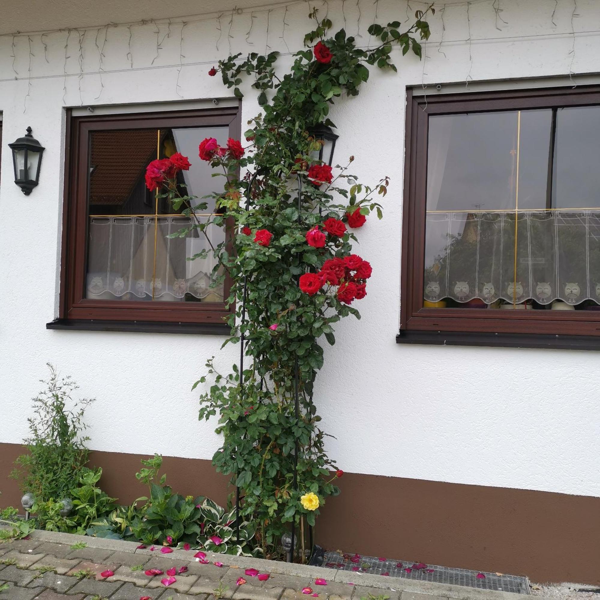 Frankenstube-Winkelhaid Zewnętrze zdjęcie